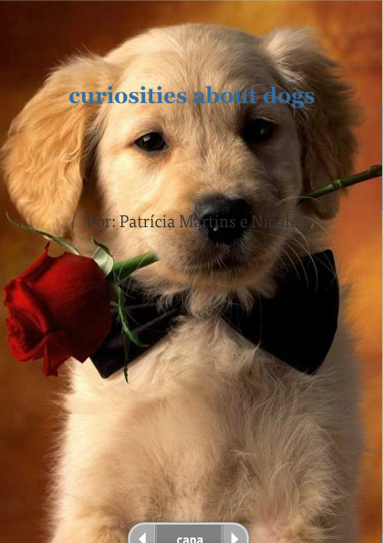 curiosities about dogs 