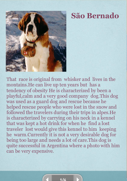 curiosities about dogs 